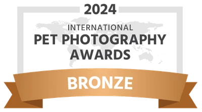 2024 International Pet Photography Awards Bronze ribbon