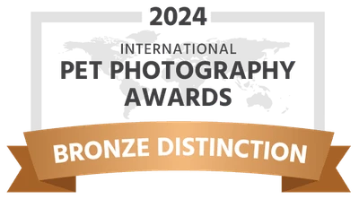 2024 International Pet Photography Awards Bronze Distinction ribbon