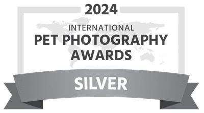 2024 International Pet Photography Awards Silver ribbon