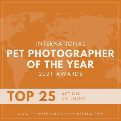 International Pet Photographer of the Year 2021 Awards, Top 25, Action category