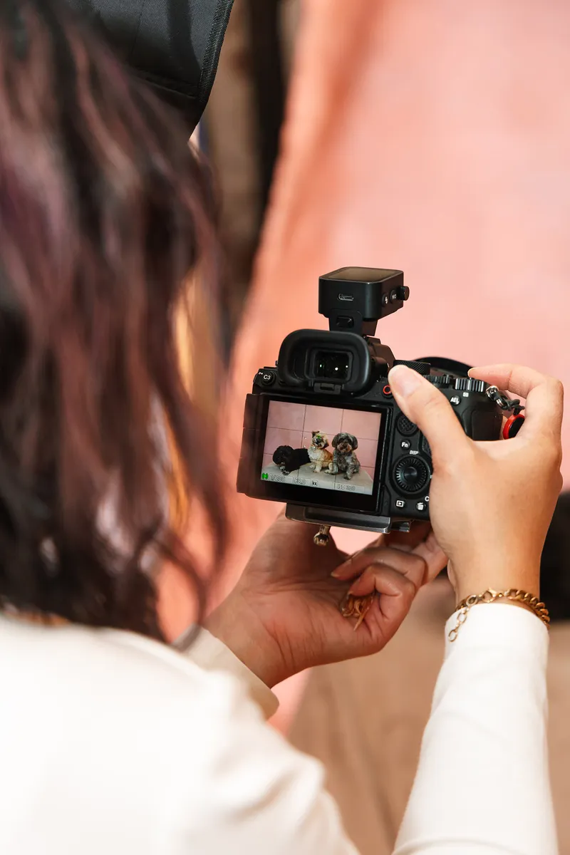The back of pet photographer Ina J's camera showing the frame she has just taken of two dogs