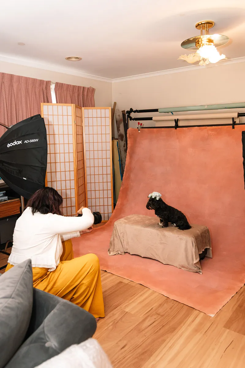 Pet photographer Ina J working in her home studio with lighting set up and a dog on the backdrop